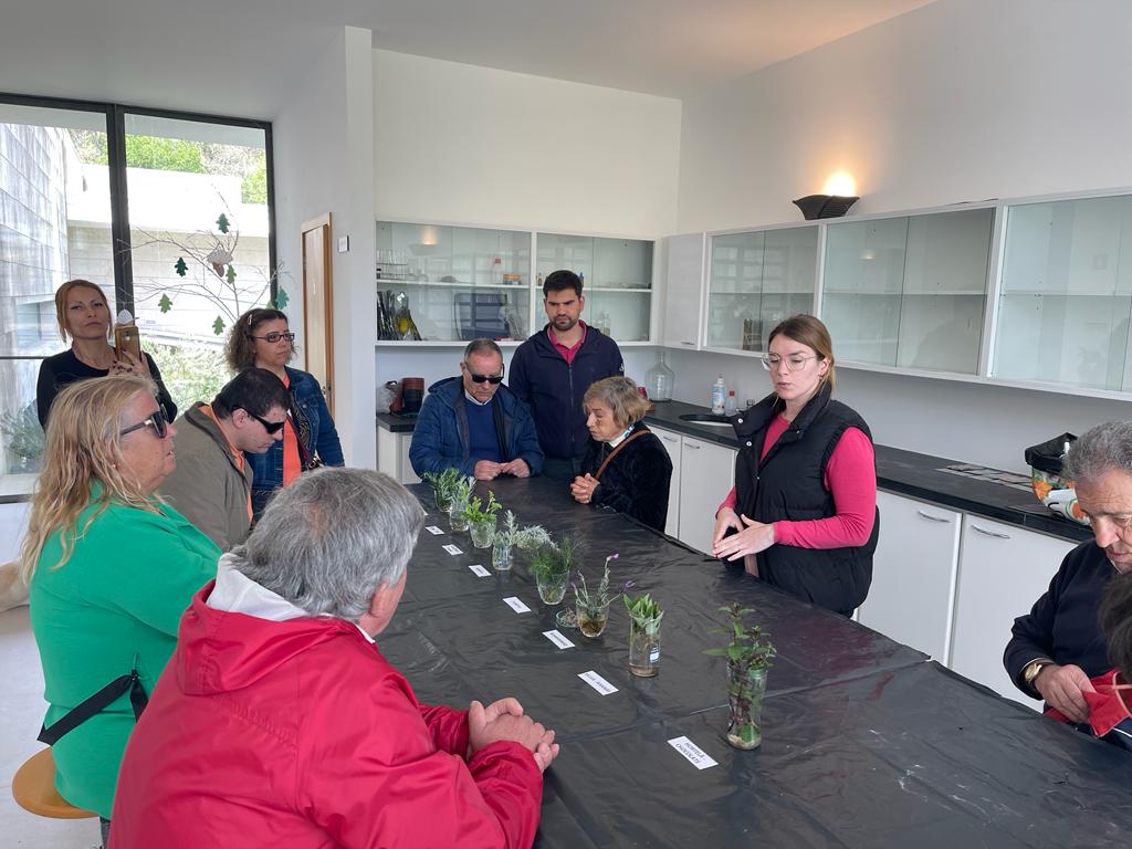 Os participantes na atividade rodeando uma mesa onde estão colocadas jarras com ervas aromáticas